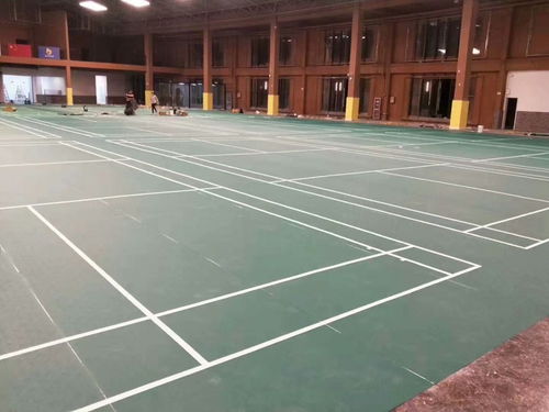 郫縣PVC塑膠運(yùn)動(dòng)地膠IN 網(wǎng)球地膠