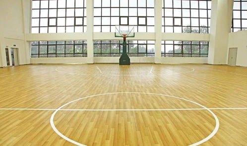 沈陽天韻舞蹈地膠批發 舞韻系列塑膠地板