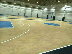 【室外塑膠籃球場,運(yùn)動塑膠地板,奧麗奇塑膠地板】- 